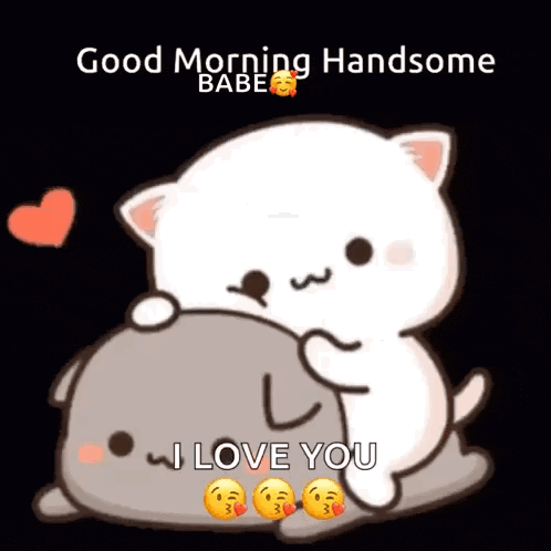 Cute Cats Good Morning Love GIF