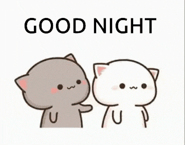Cats Nuzzle Good Night GIF