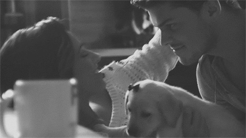 Flirtatious Intimate Gaze With Puppy GIF