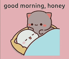 Good Morning Cute Cat GIF