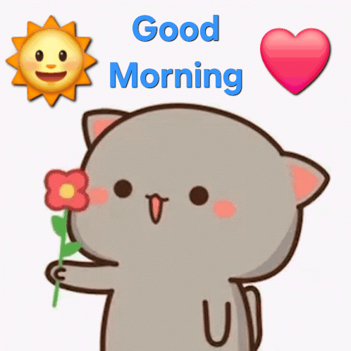 Good Morning Cat GIF With Flower Heart