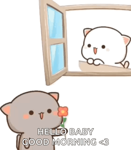 Cute Cat Morning Greeting GIF