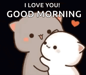 Loving Cat Couple Good Morning GIF