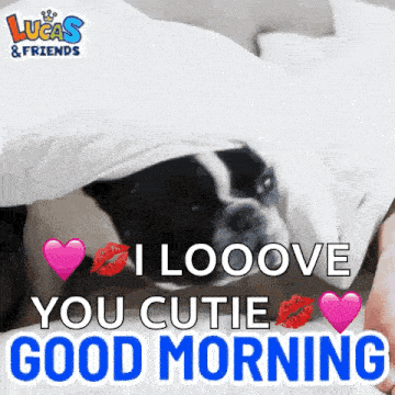 Loving Dog Says Good Morning GIF