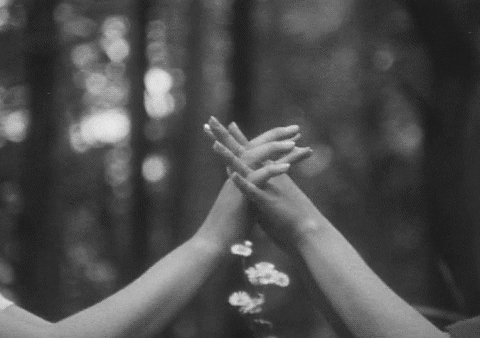 Loving Hands Intertwine In Forest GIF