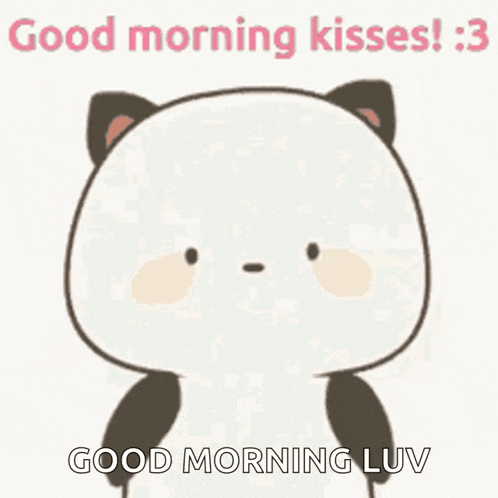 Panda Morning Kisses Cute GIF