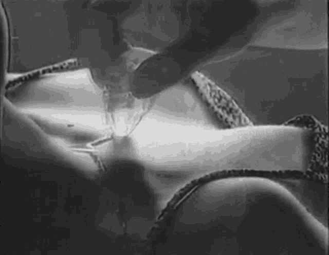 Passionate Neck Kiss And Caress GIF