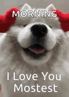Happy Dog Says I Love You GIF