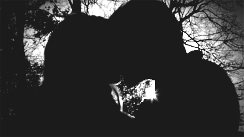Silhouette Couple Kiss In Shadows GIF